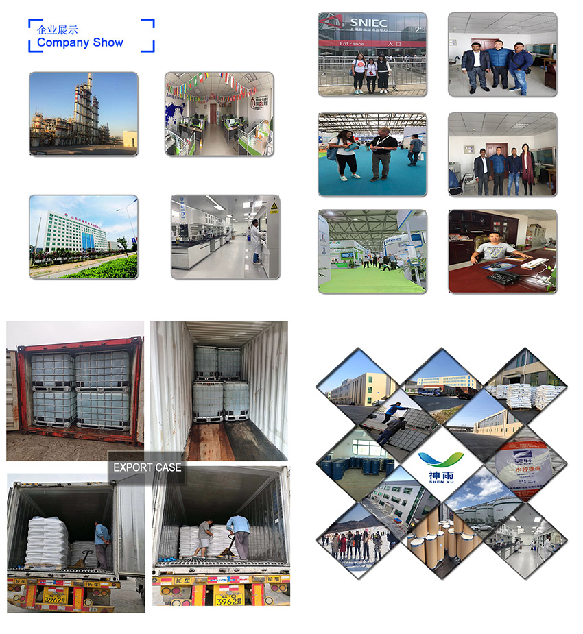 Shenyu Energy(Shandong) Development Co., Ltd